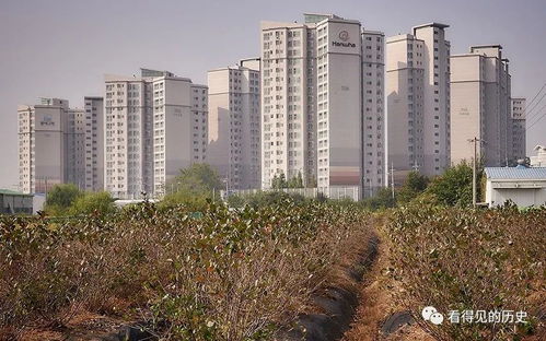 韓國漢城的房地產開發 如同地里莊稼一樣瘋長的房子