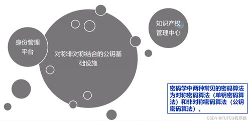 物聯(lián)網(wǎng)安全架構(gòu)、基礎(chǔ)設(shè)施與安全軟件開發(fā) 構(gòu)建可信的互聯(lián)世界
